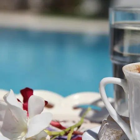 فندق Hotel Rustic Alacati إزمير