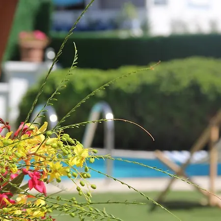 فندق Hotel Rustic Alacati *