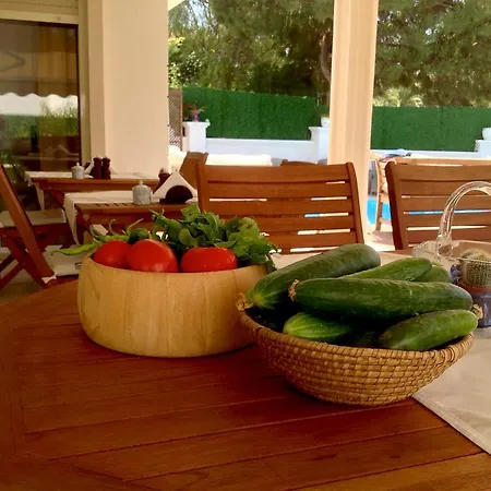 Hotel Hotel Rustic Alacati